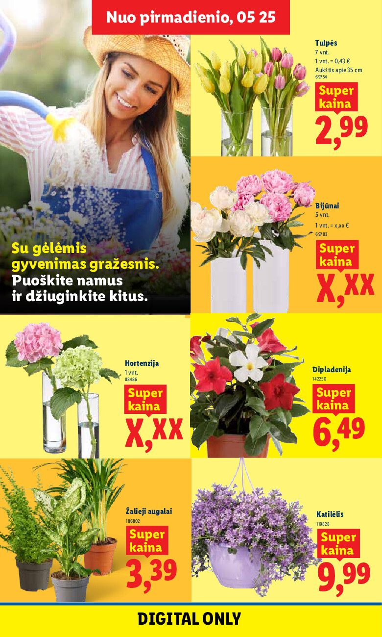 Leidinio nuotrauka