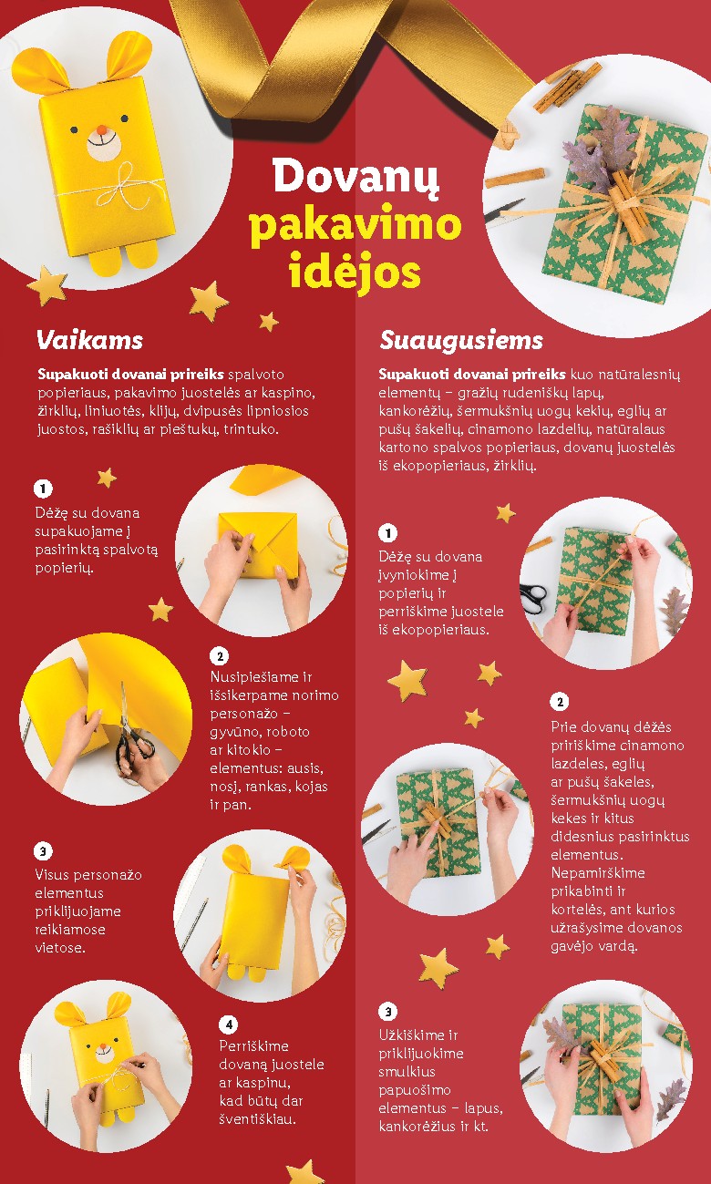 Leidinio nuotrauka