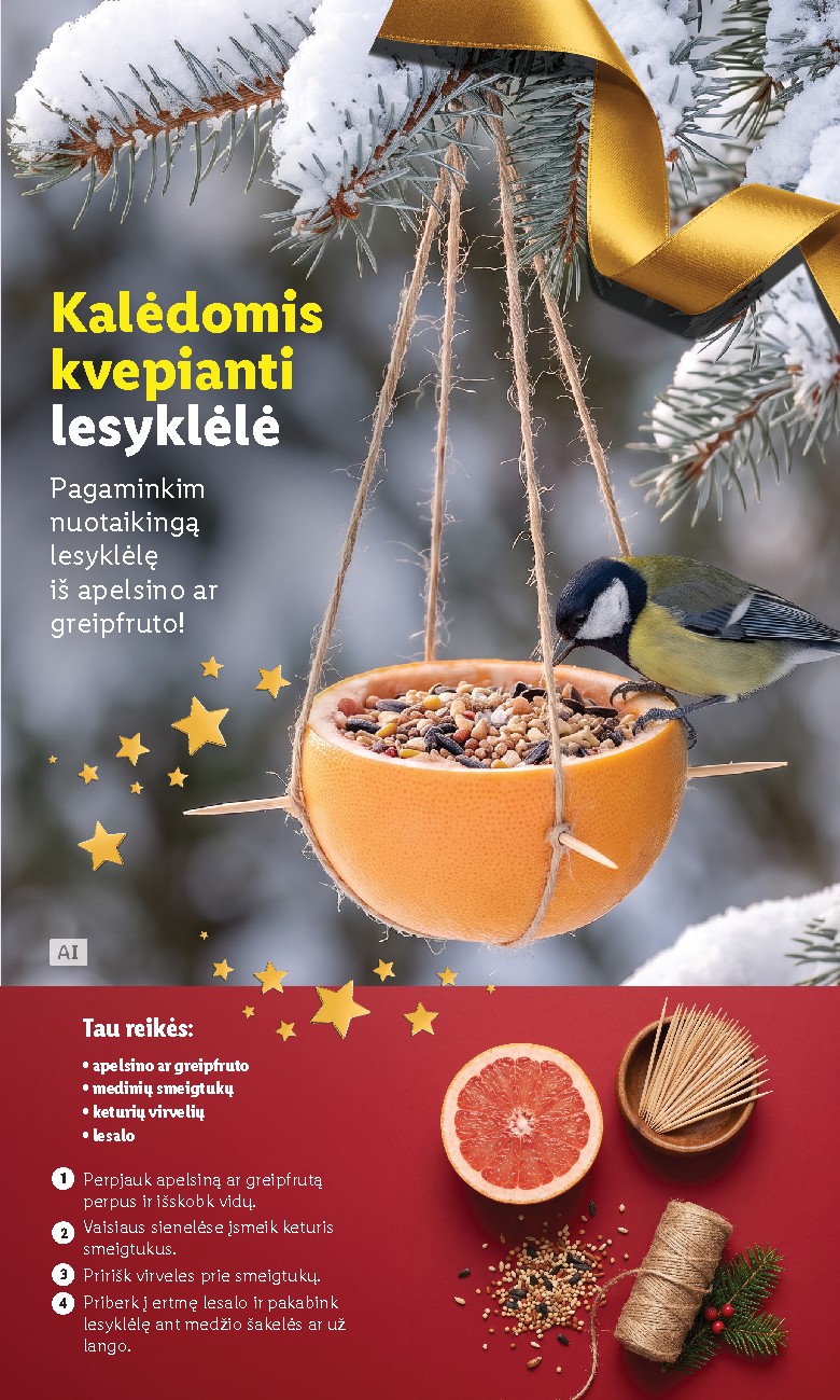 Leidinio nuotrauka