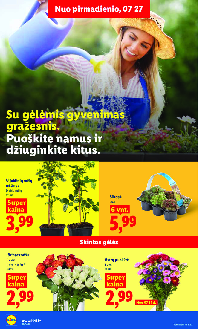 Leidinio nuotrauka