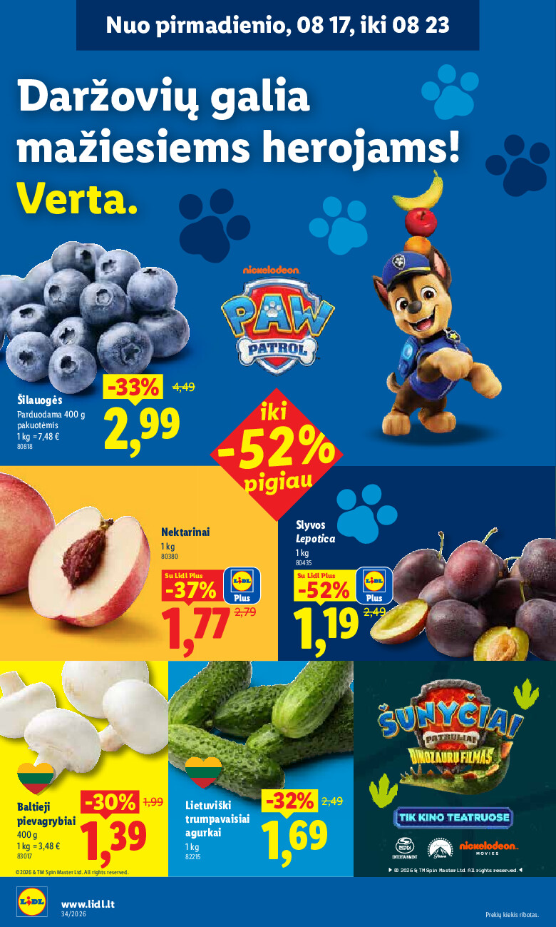 Leidinio nuotrauka