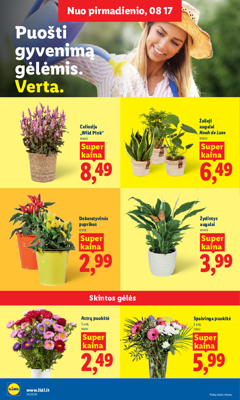 Leidinio nuotrauka