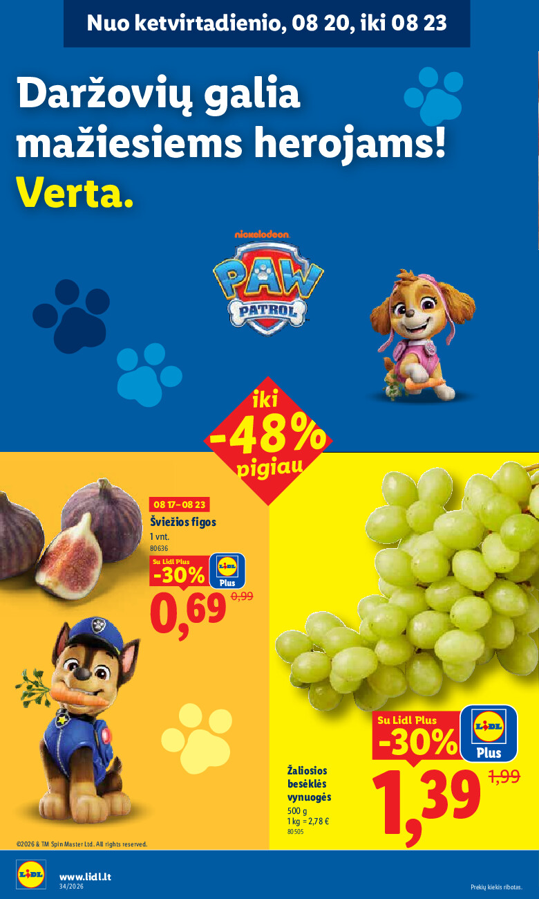 Leidinio nuotrauka