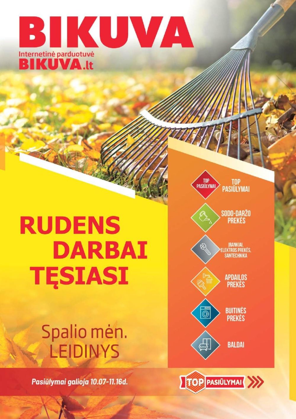 Leidinio nuotrauka