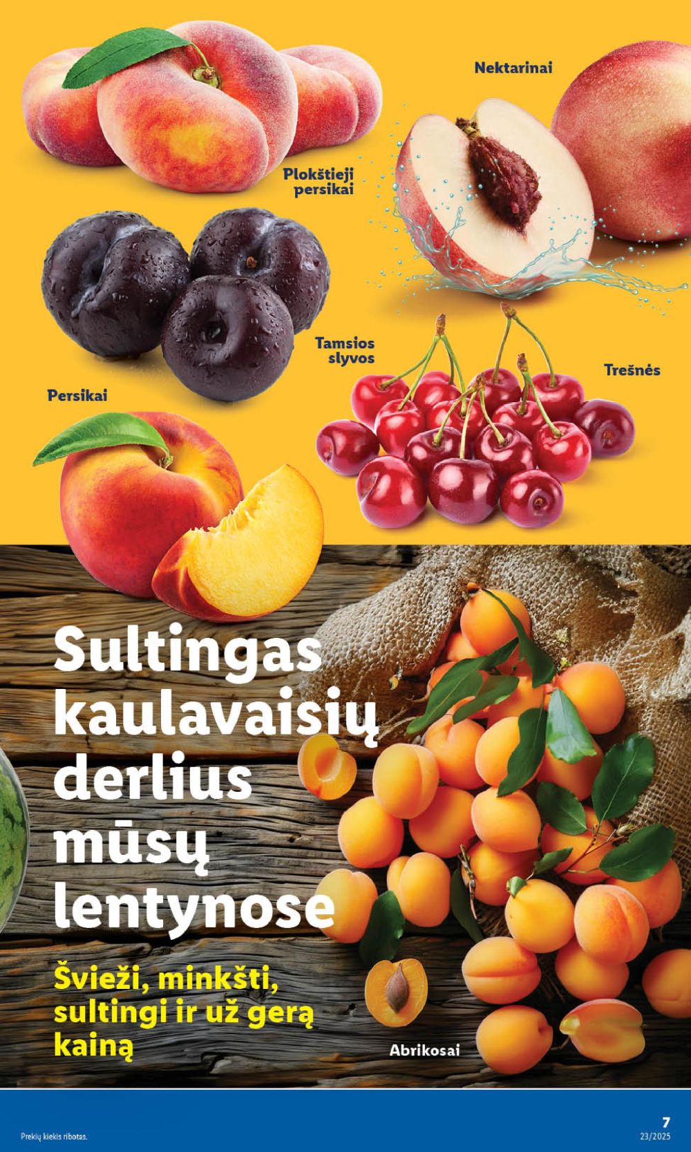 Leidinio nuotrauka