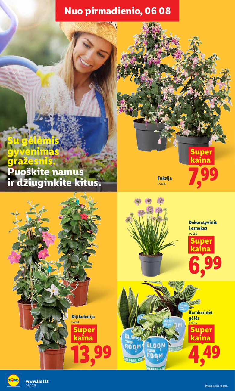 Leidinio nuotrauka