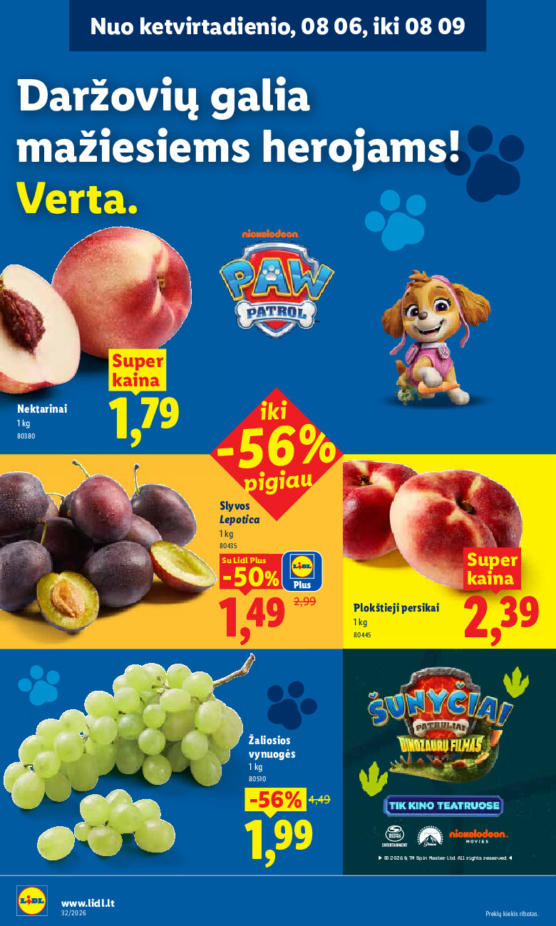 Leidinio nuotrauka