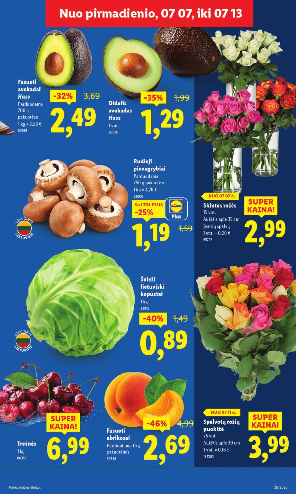 Leidinio nuotrauka