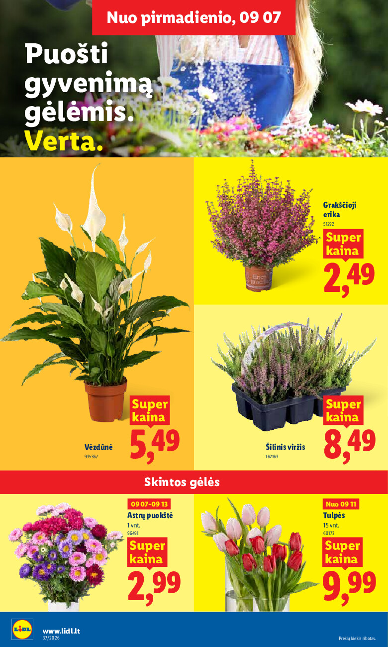 Leidinio nuotrauka