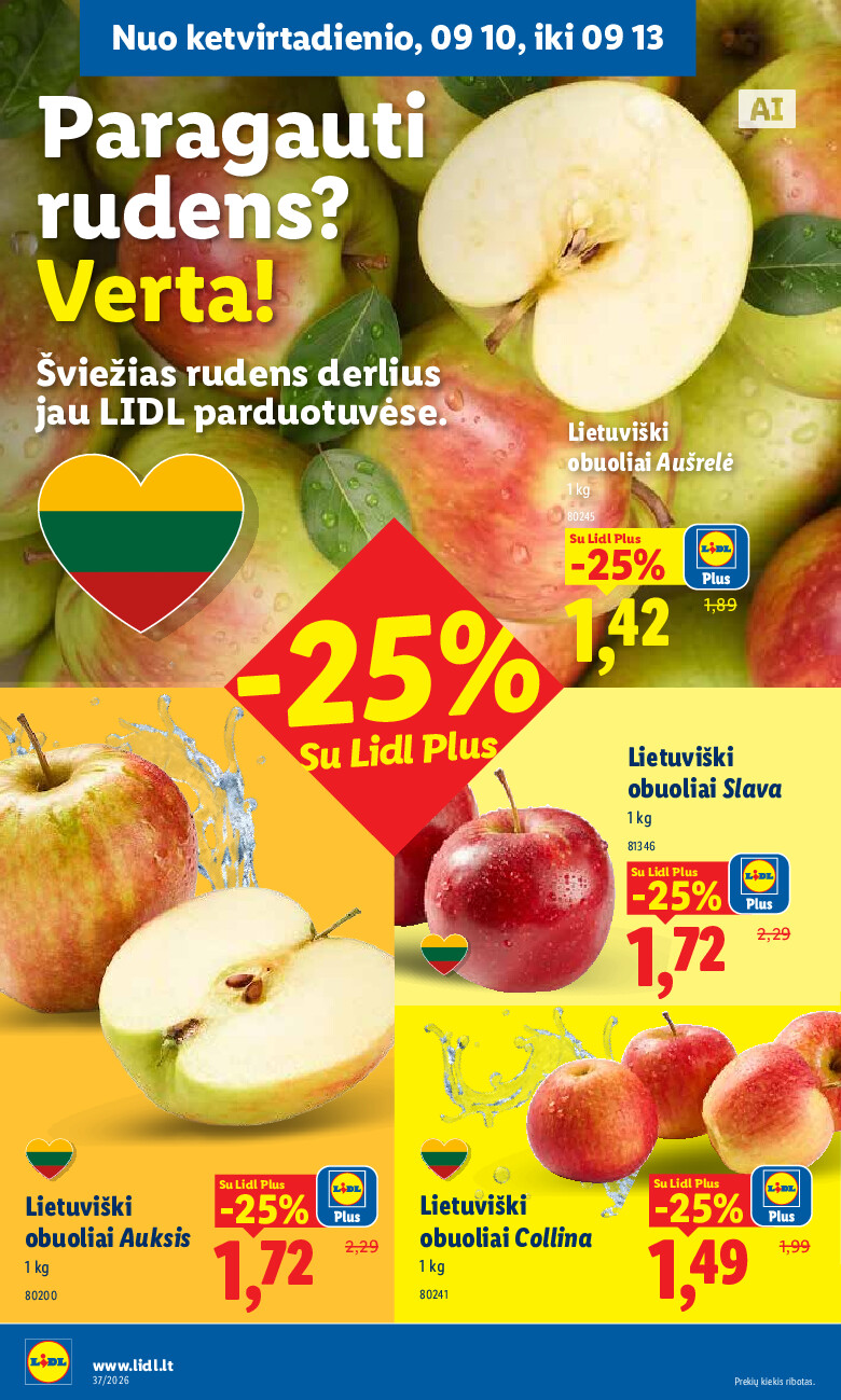 Leidinio nuotrauka