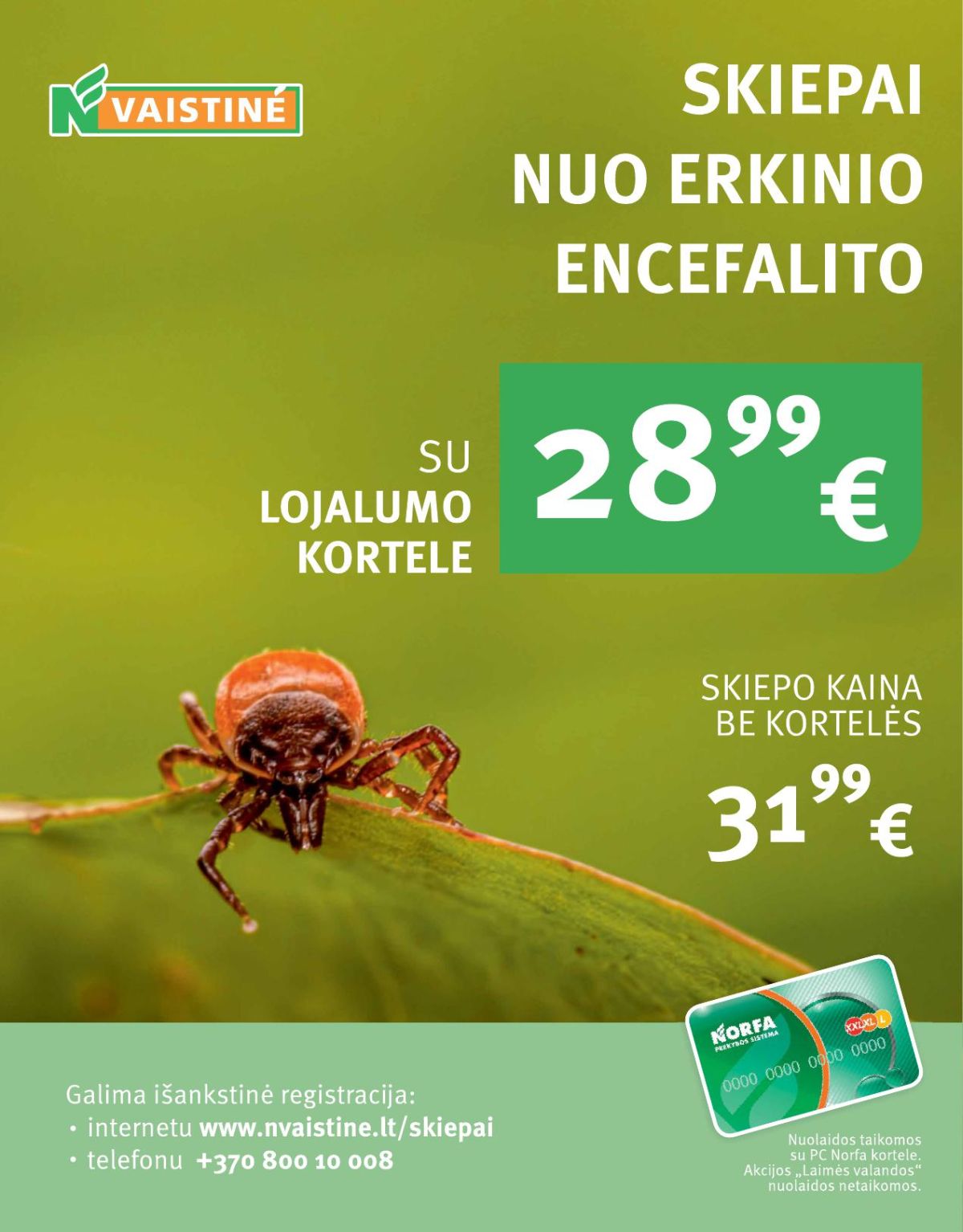 Leidinio nuotrauka