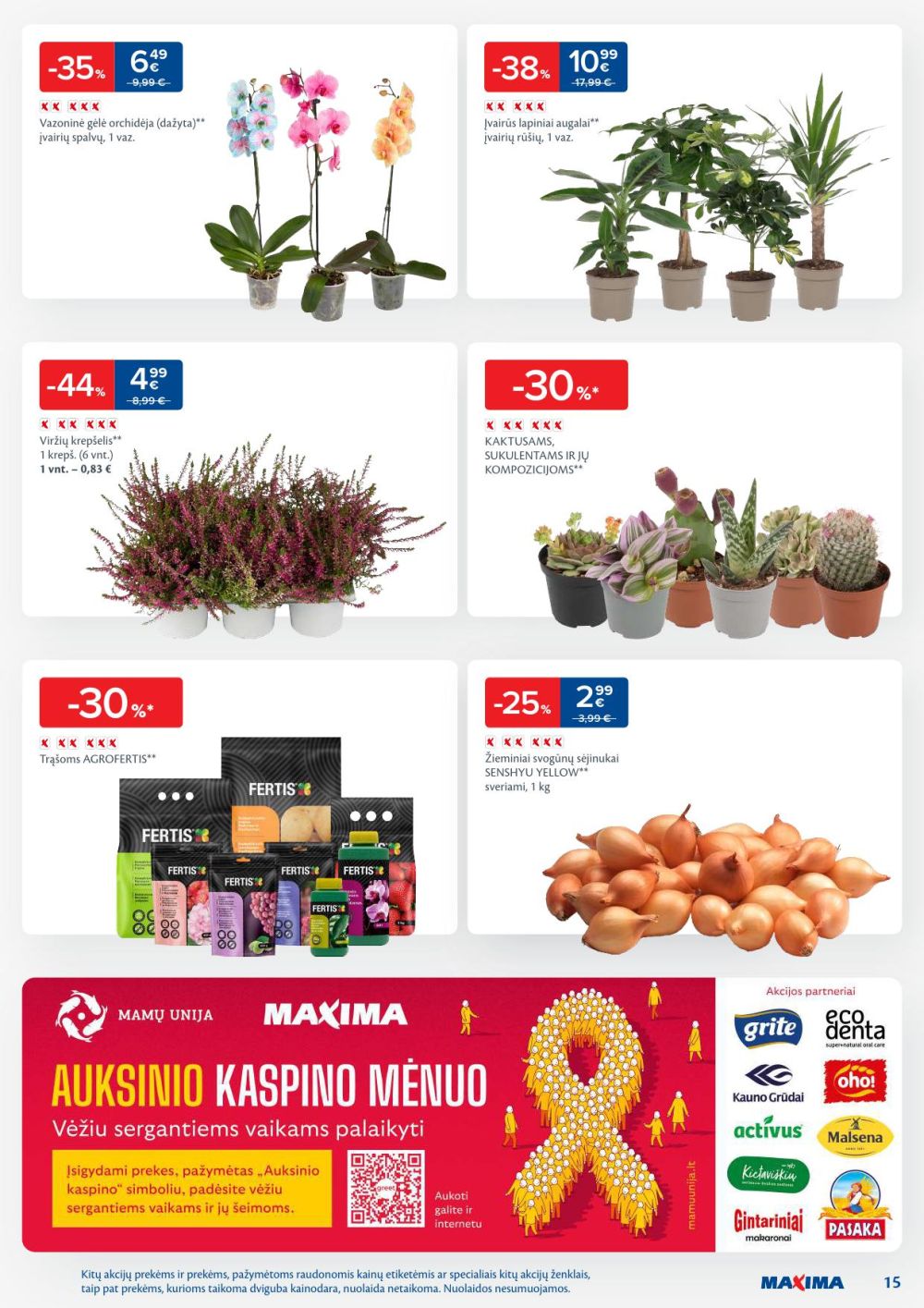 Leidinio nuotrauka