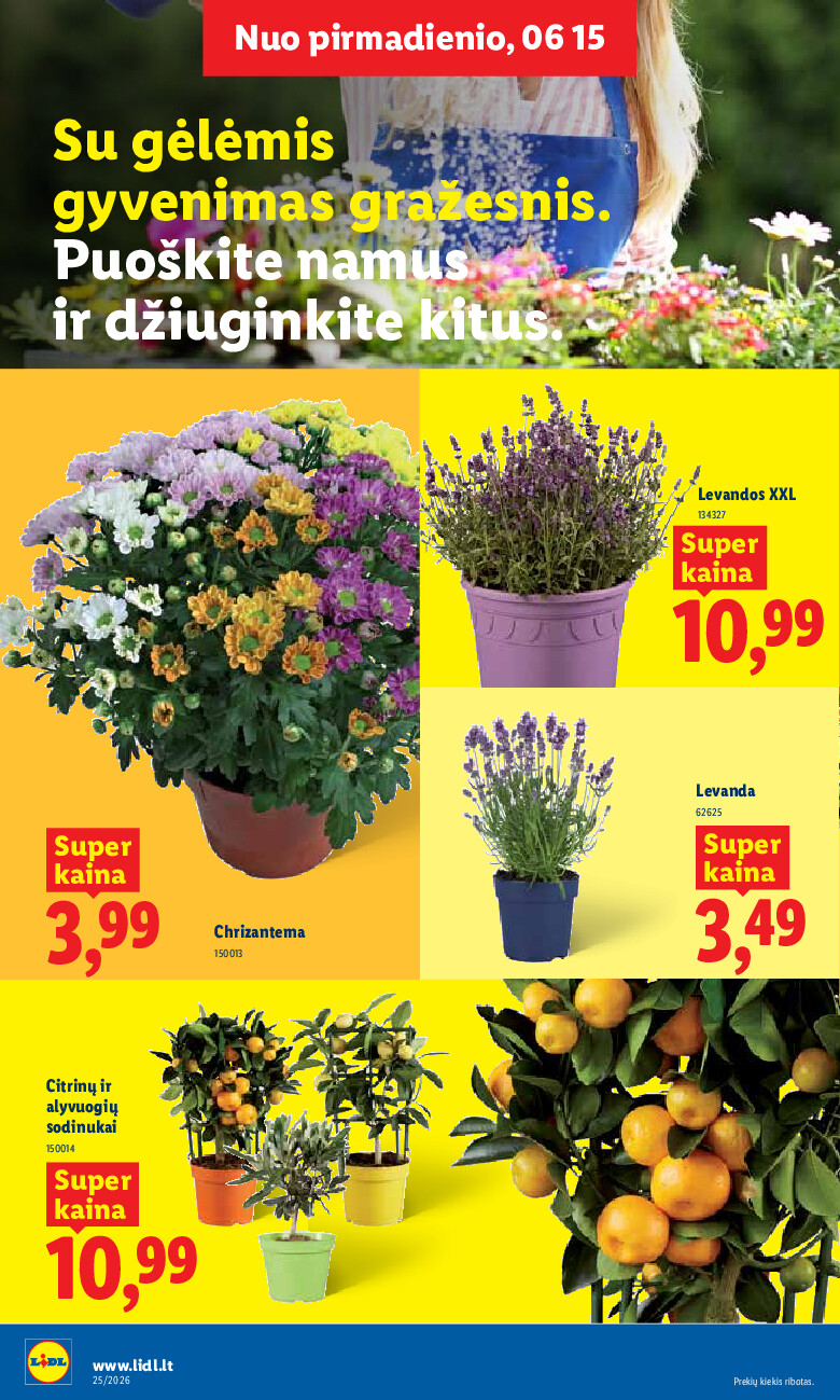 Leidinio nuotrauka