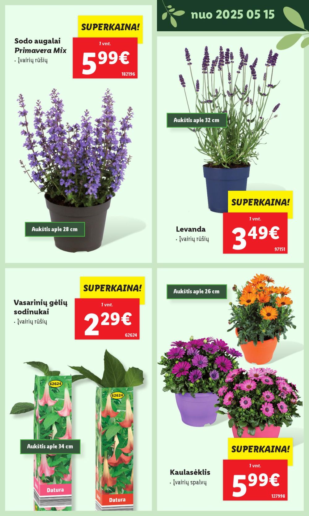 Leidinio nuotrauka