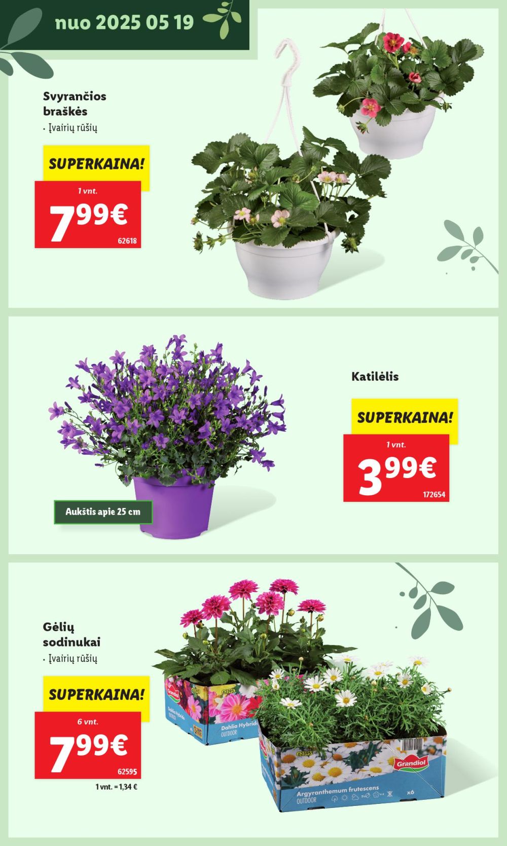 Leidinio nuotrauka