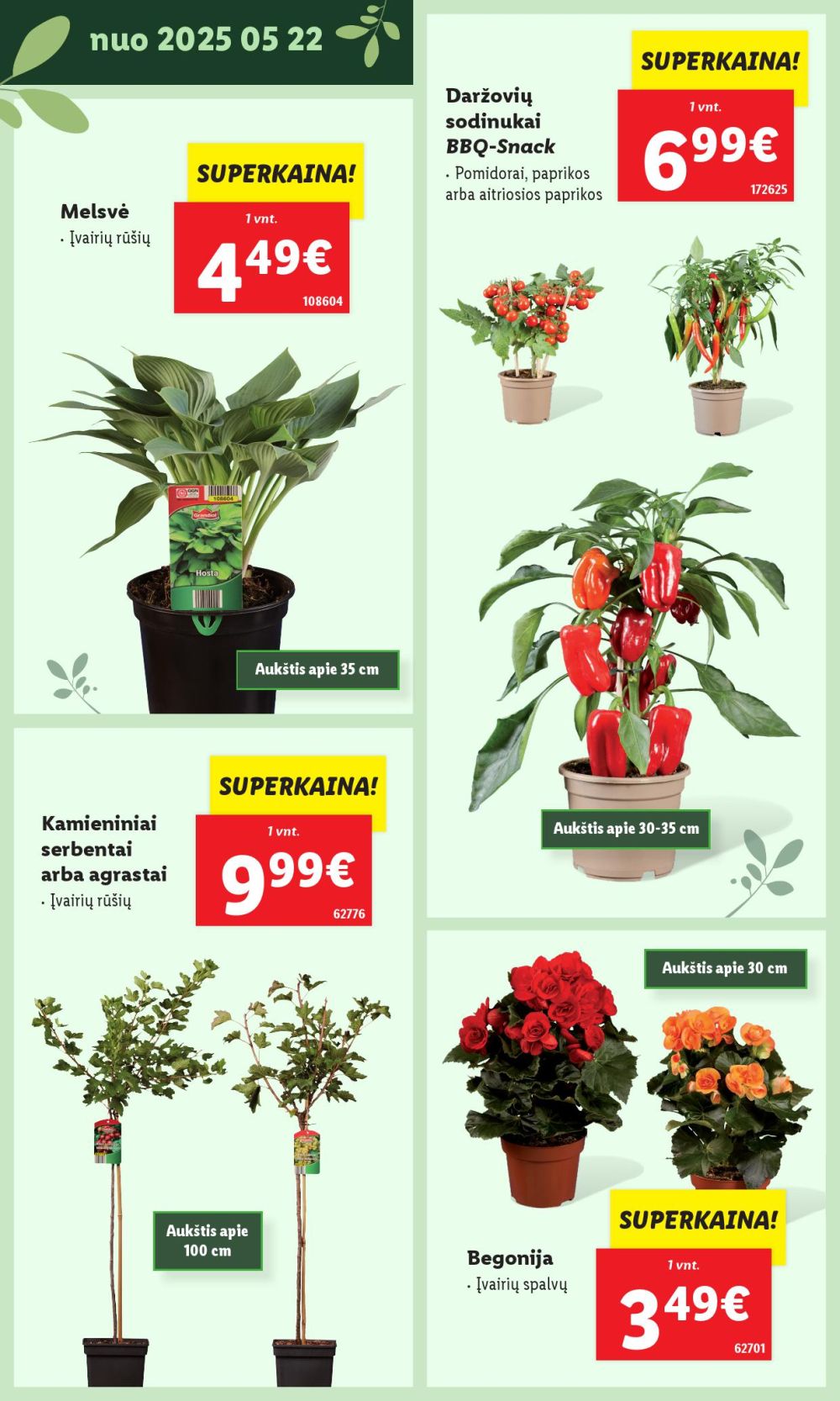 Leidinio nuotrauka