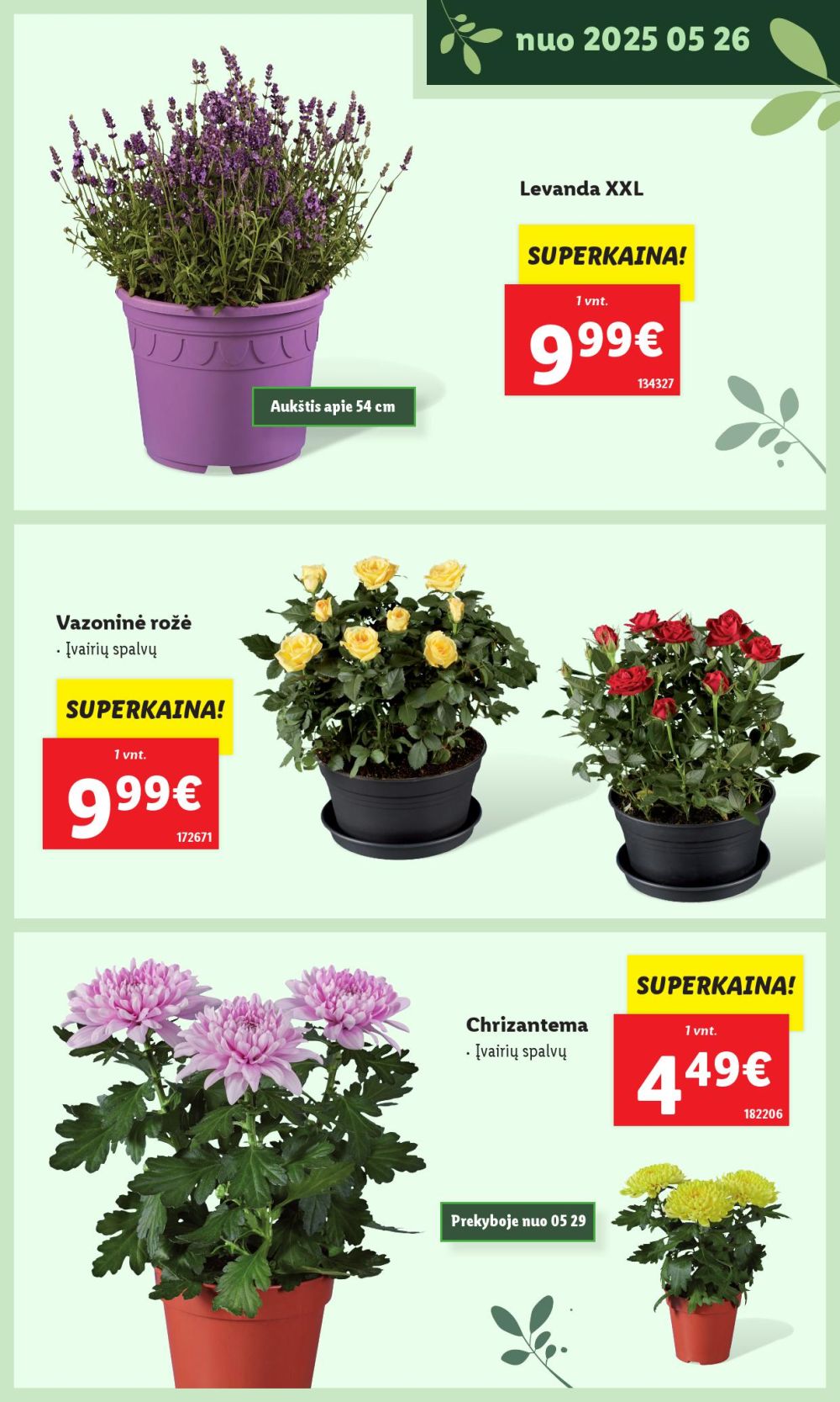 Leidinio nuotrauka