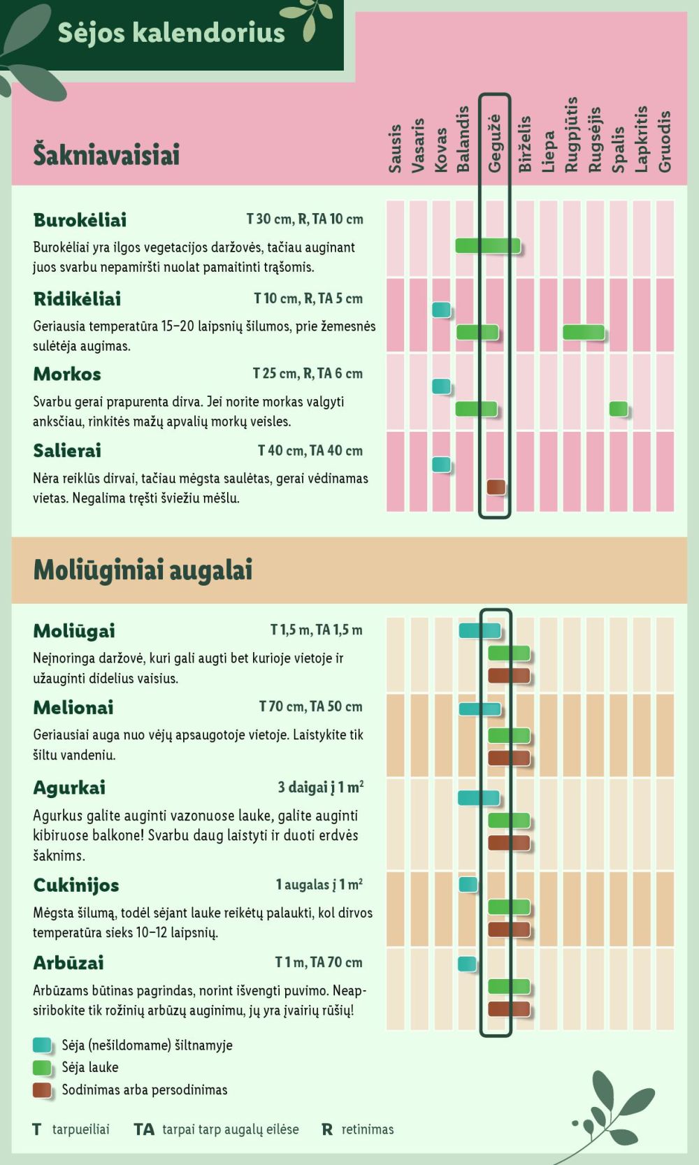Leidinio nuotrauka
