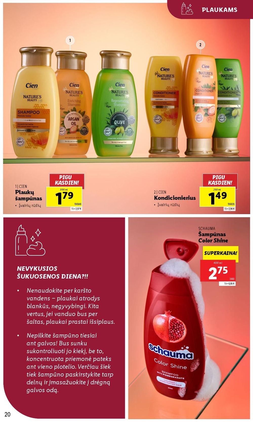 Leidinio nuotrauka