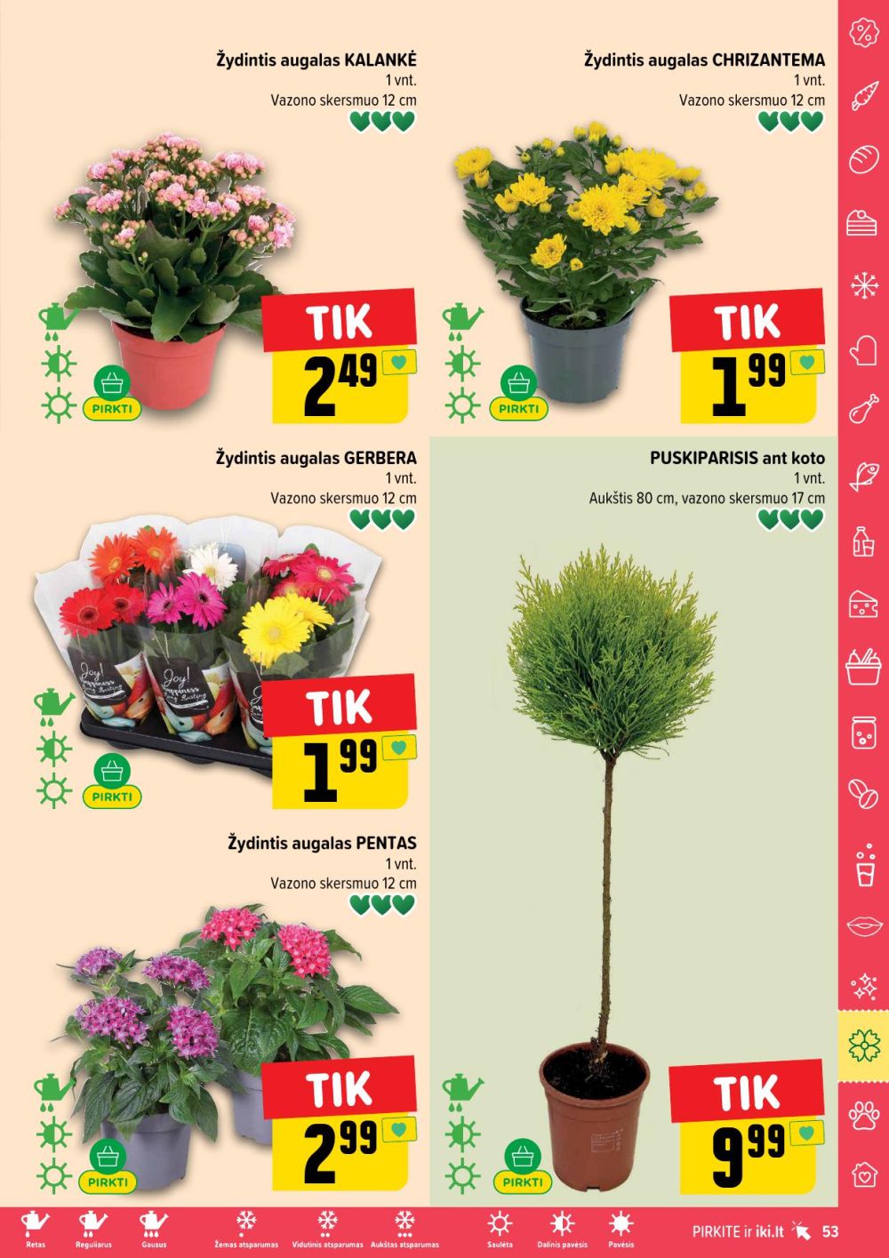 Leidinio nuotrauka