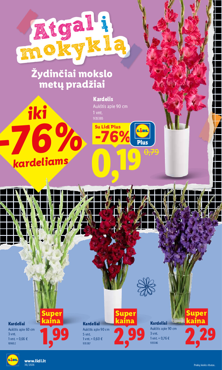 Leidinio nuotrauka