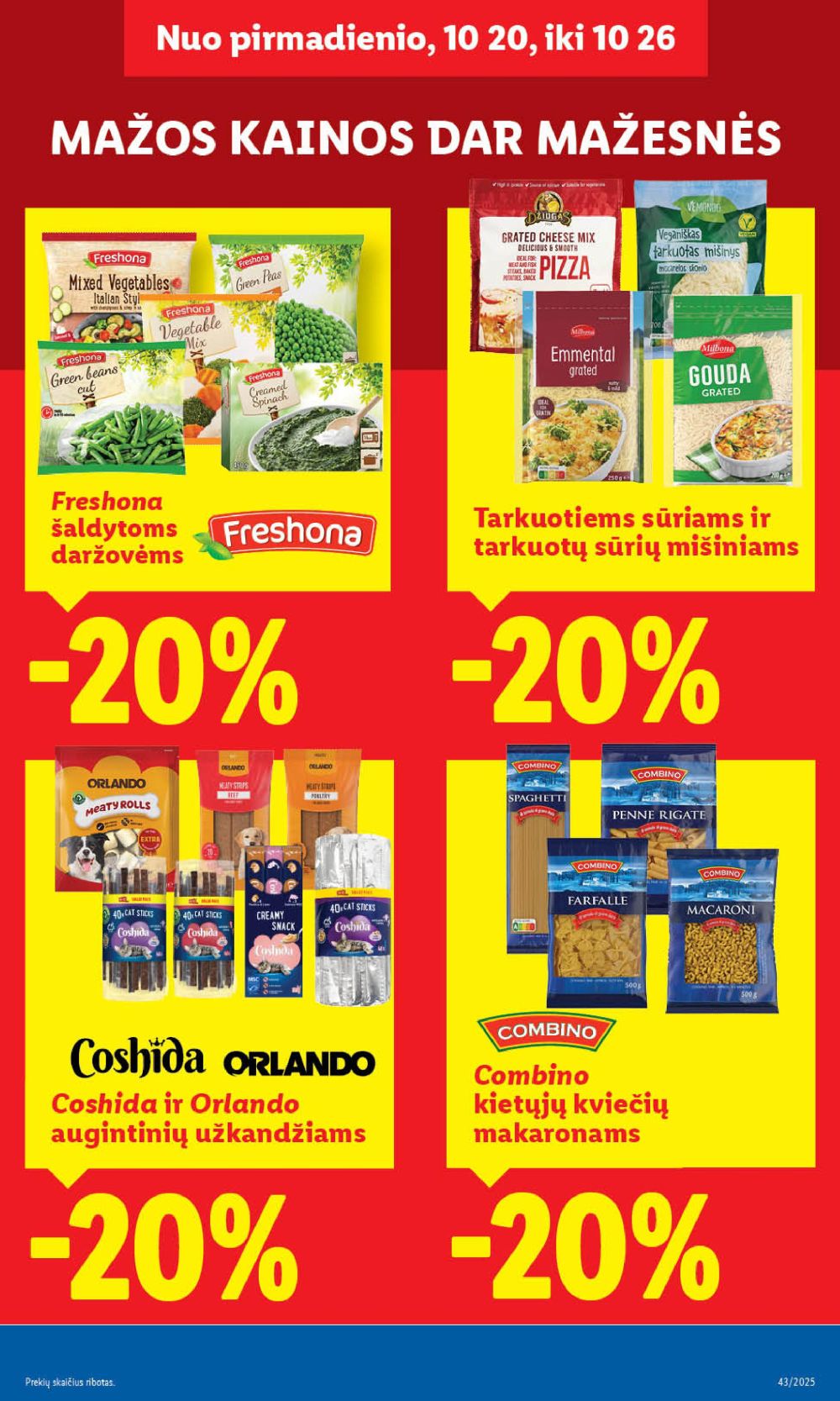 Leidinio nuotrauka