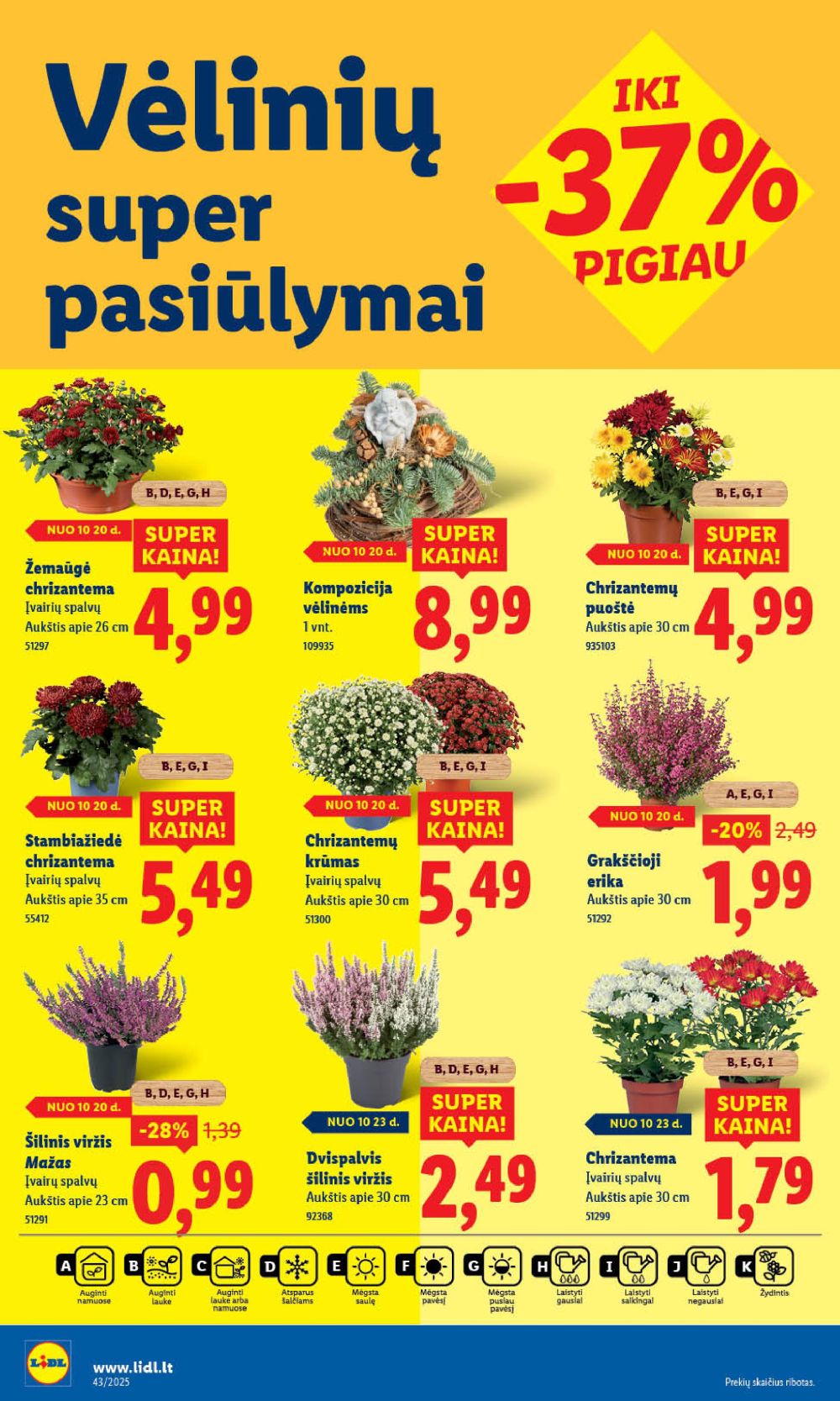 Leidinio nuotrauka