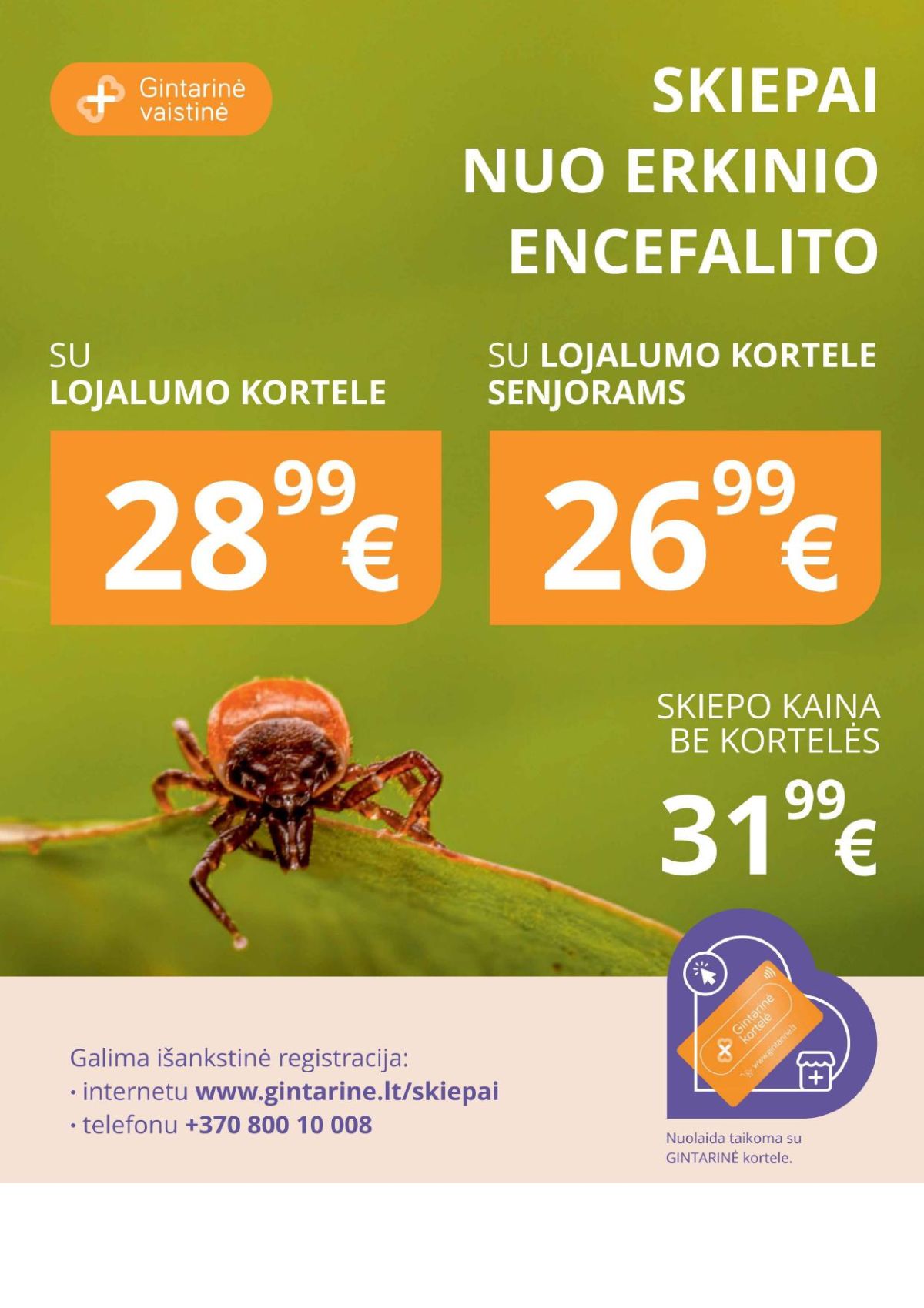 Leidinio nuotrauka