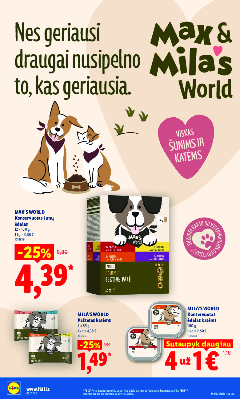 Leidinio nuotrauka