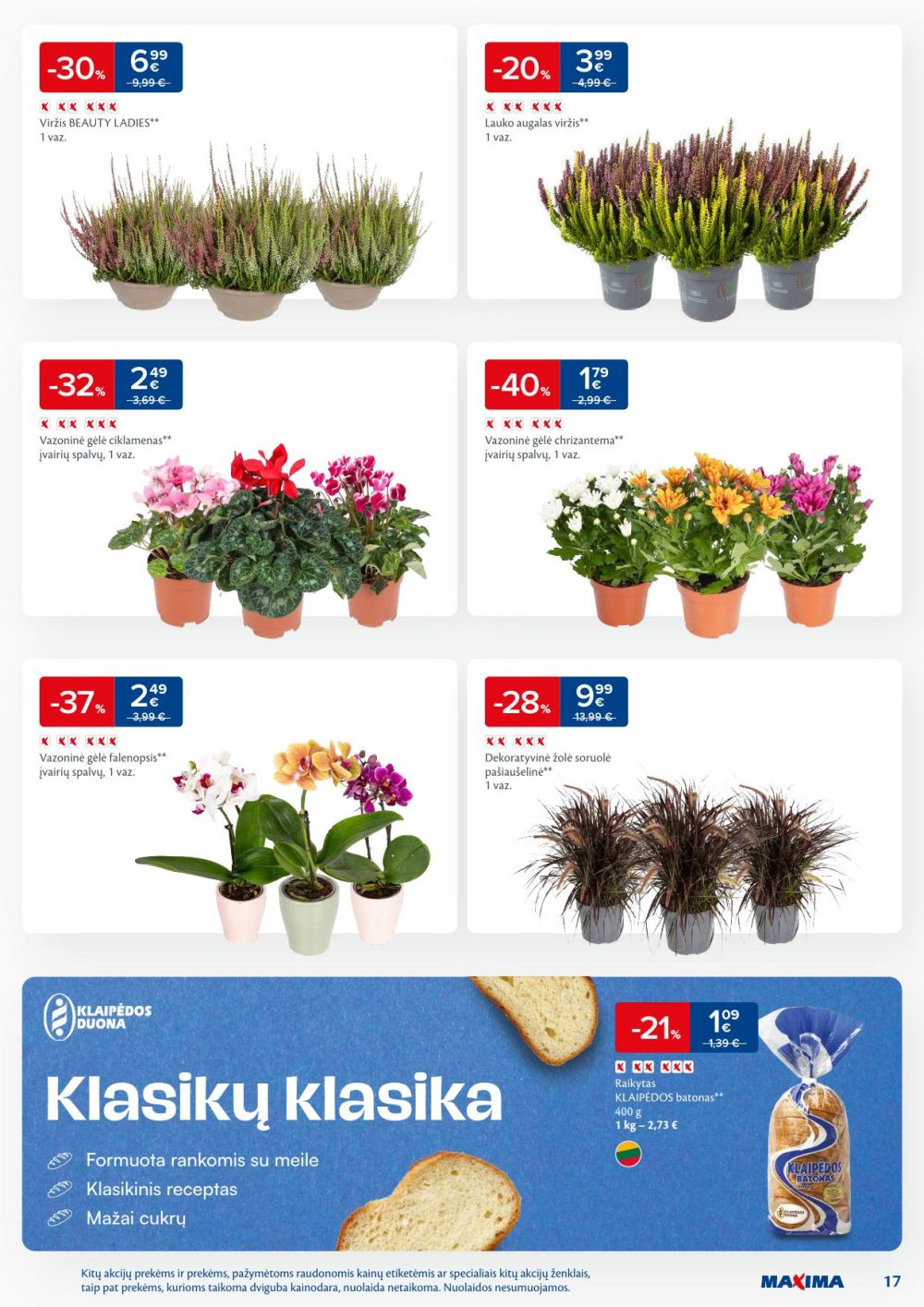 Leidinio nuotrauka