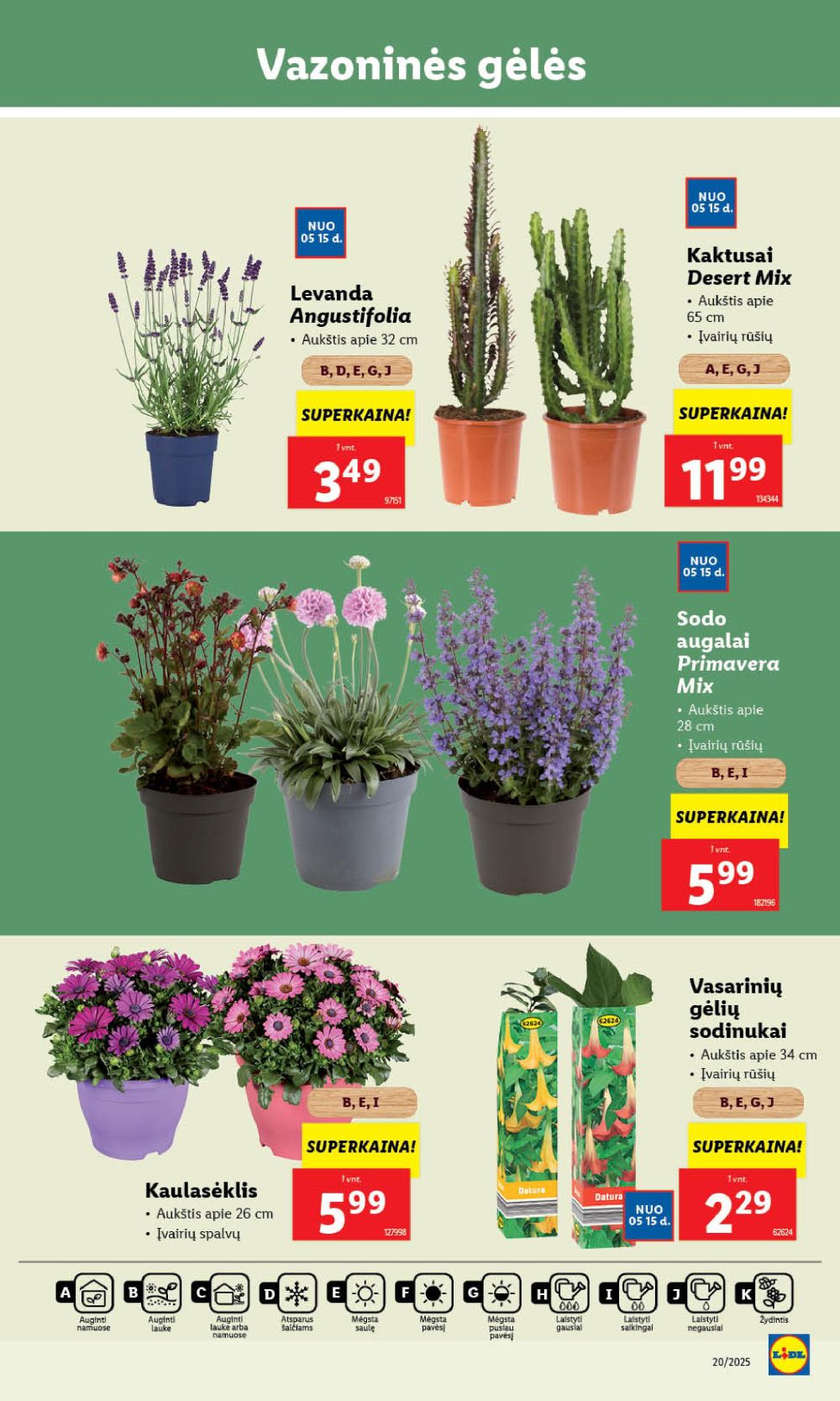 Leidinio nuotrauka