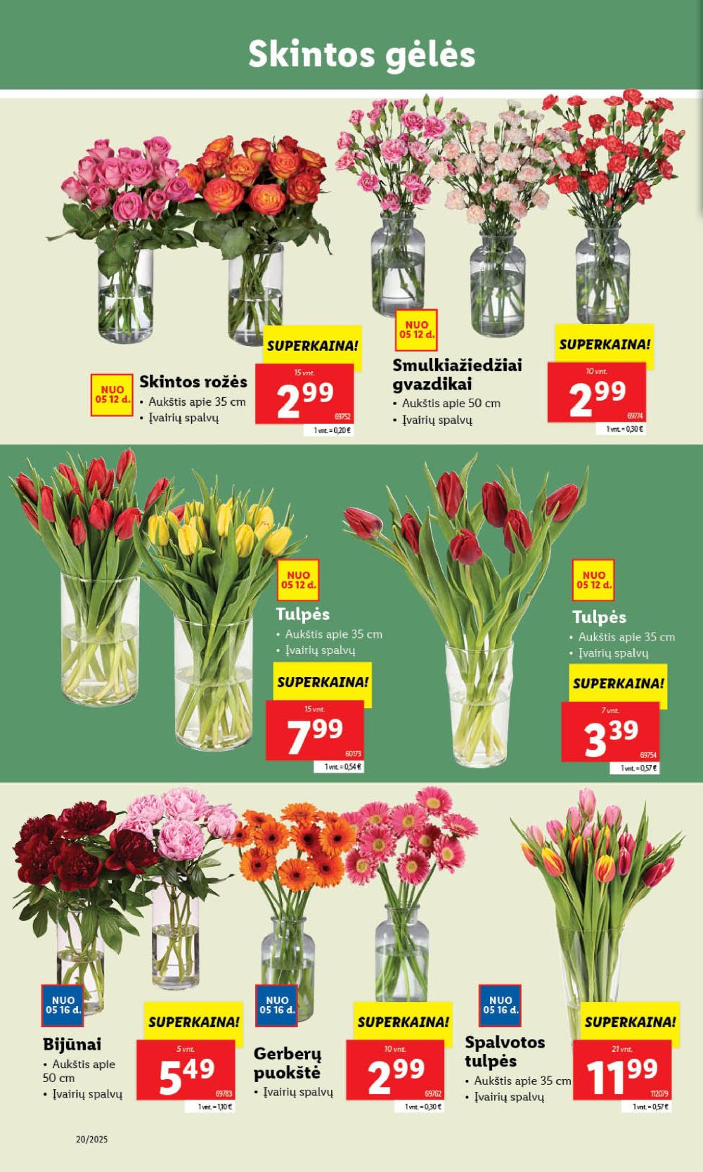 Leidinio nuotrauka