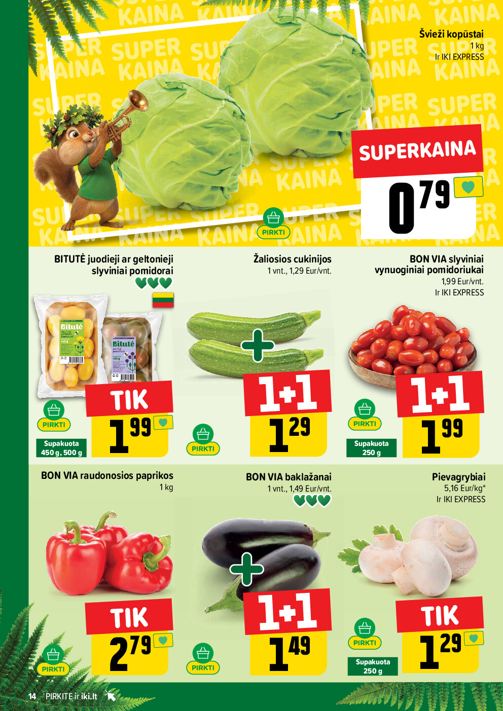 Leidinio nuotrauka
