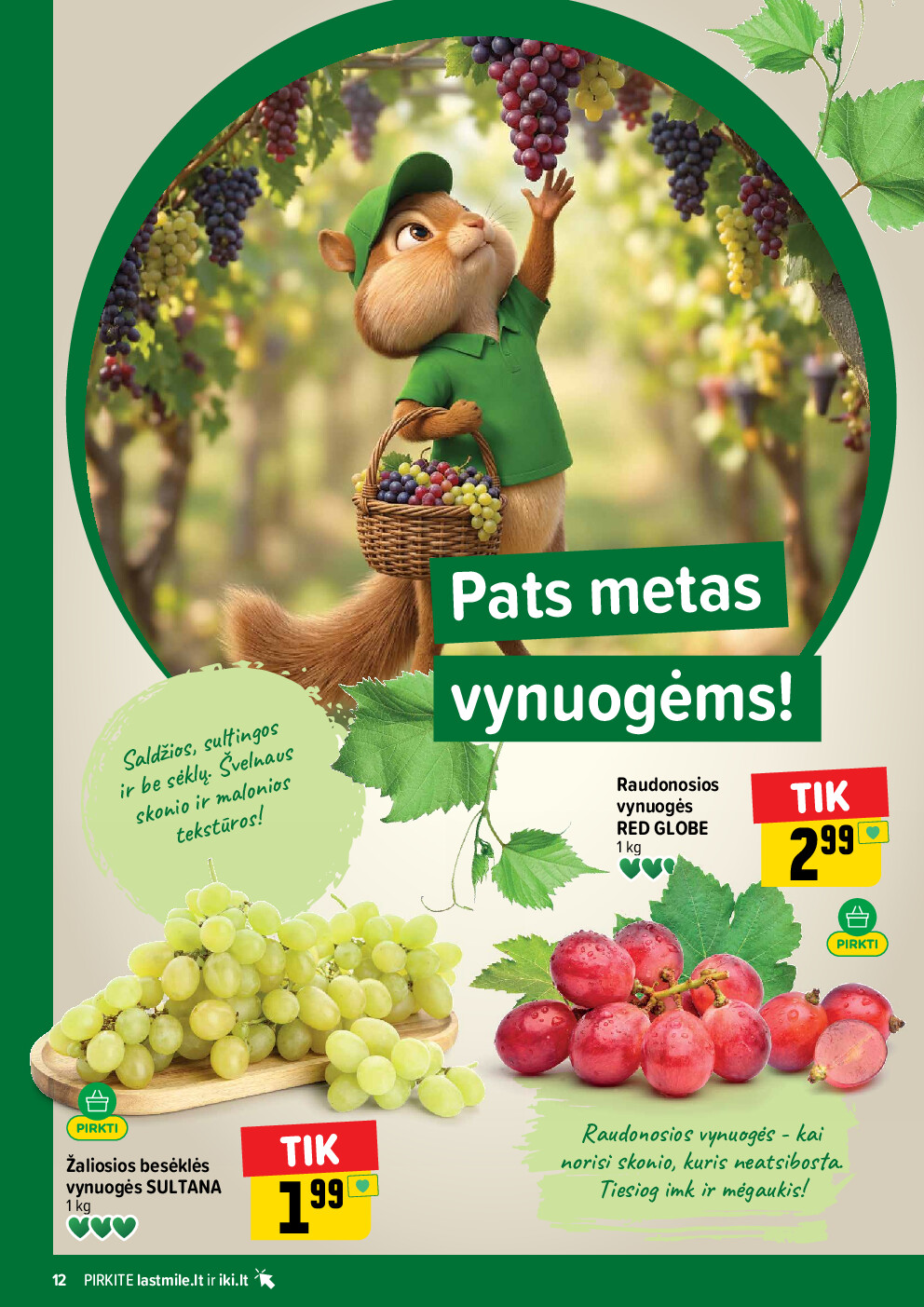 Leidinio nuotrauka