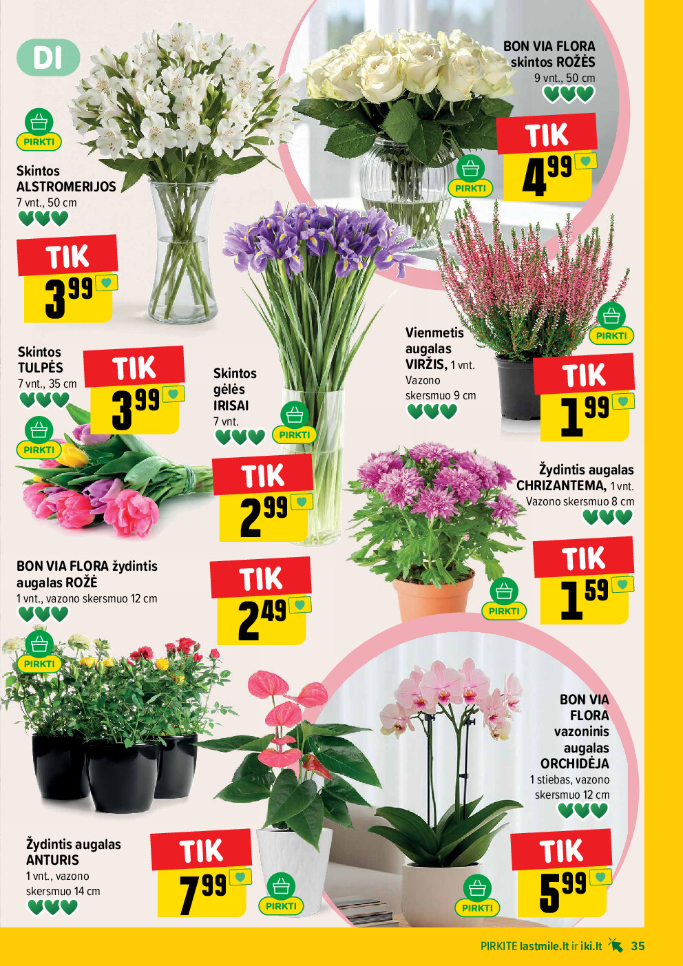 Leidinio nuotrauka