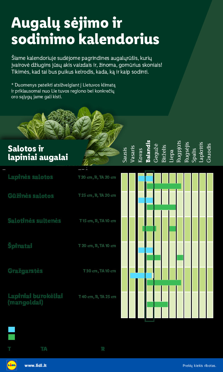 Leidinio nuotrauka