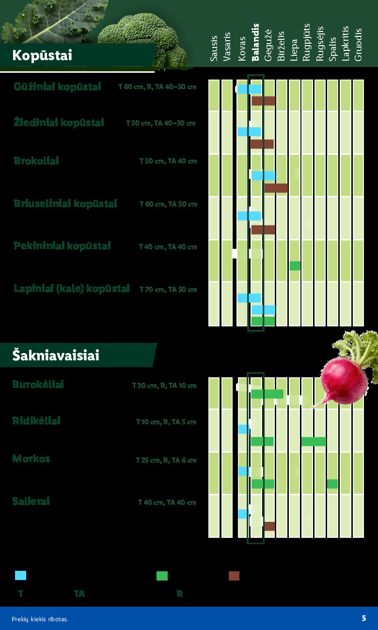 Leidinio nuotrauka