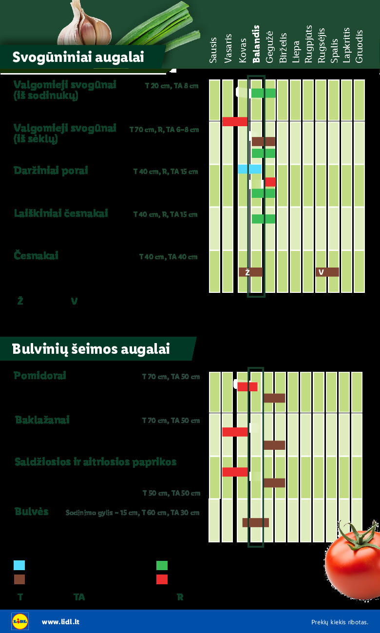 Leidinio nuotrauka