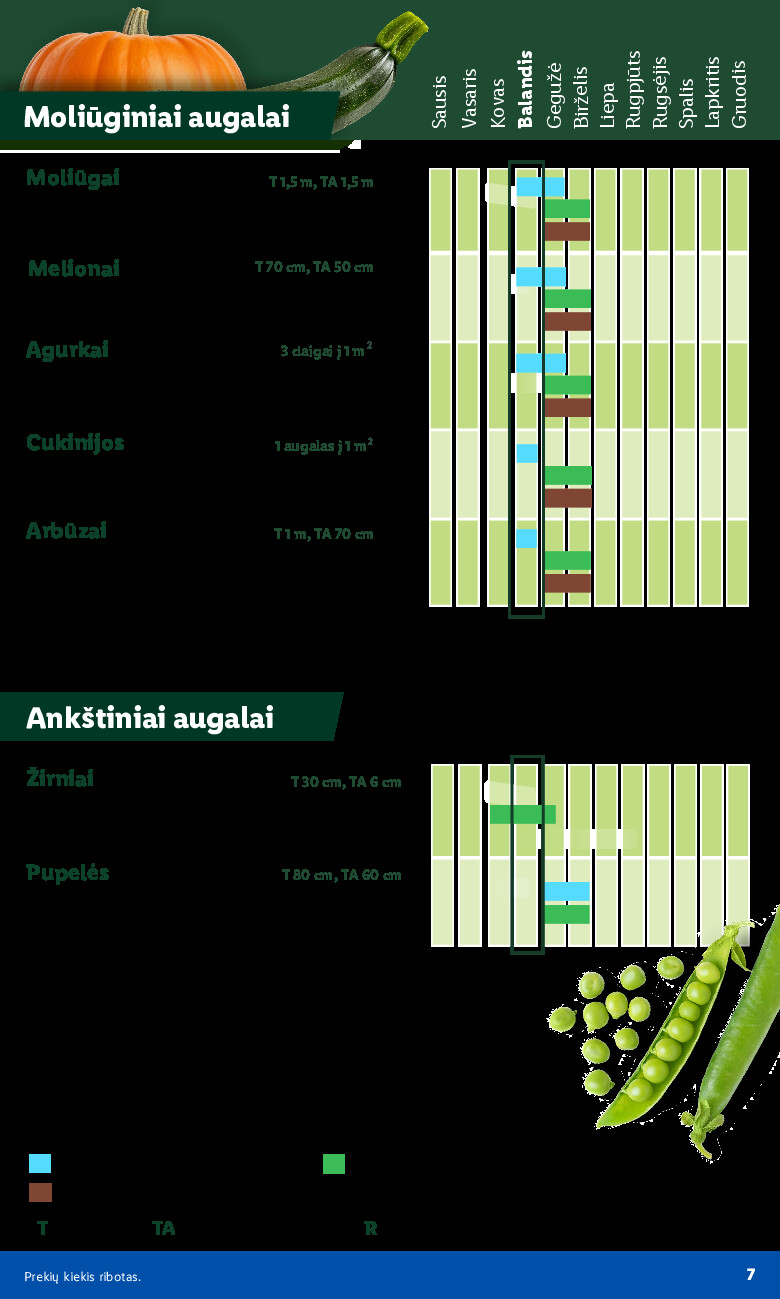 Leidinio nuotrauka