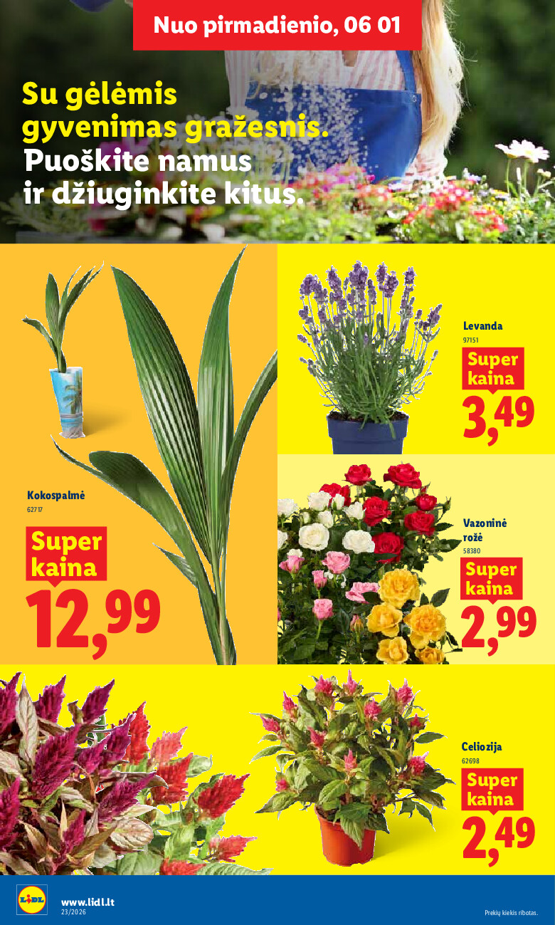 Leidinio nuotrauka