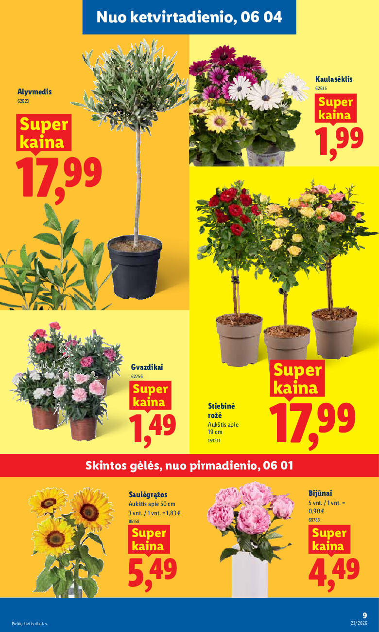 Leidinio nuotrauka