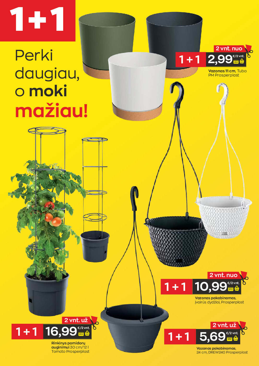 Leidinio nuotrauka