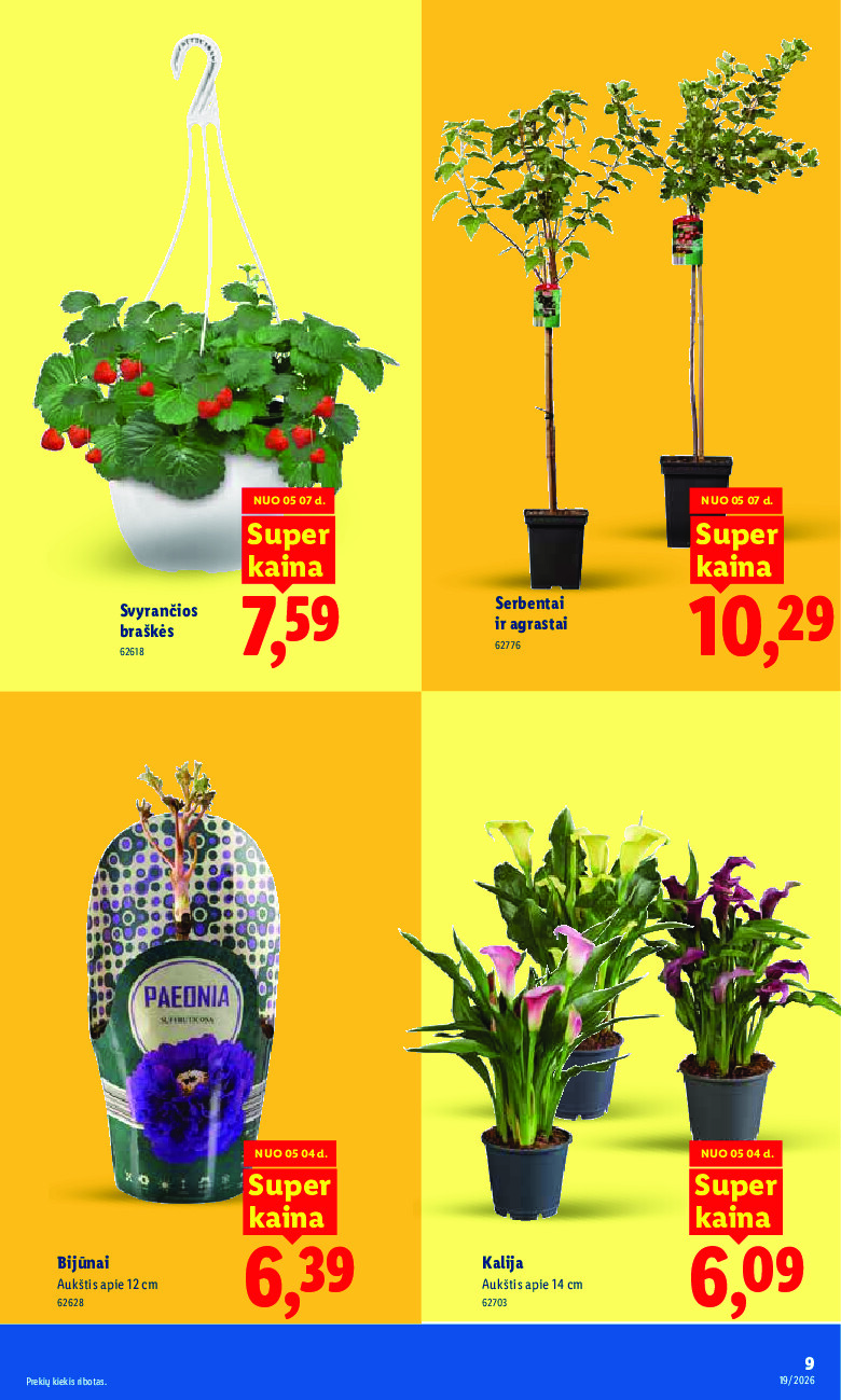 Leidinio nuotrauka