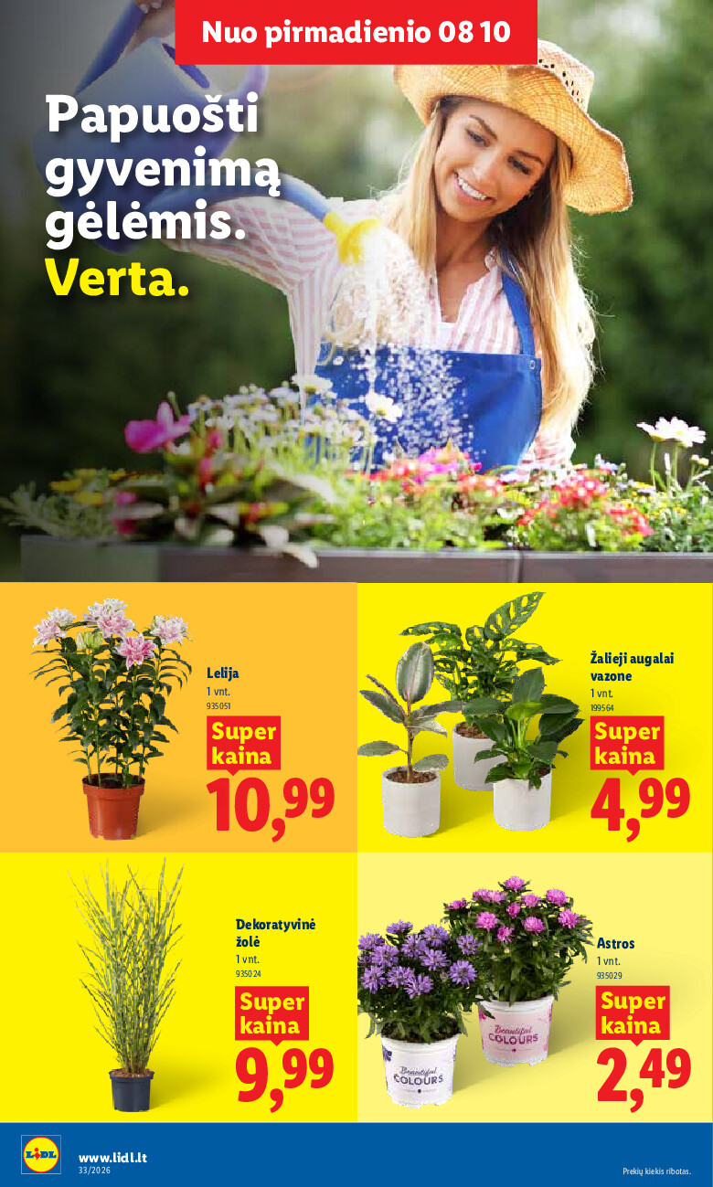 Leidinio nuotrauka