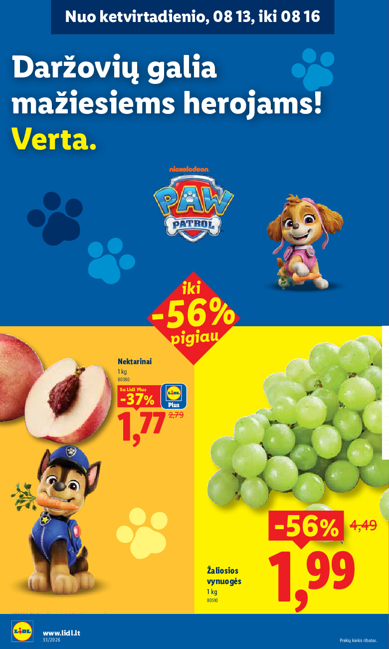 Leidinio nuotrauka