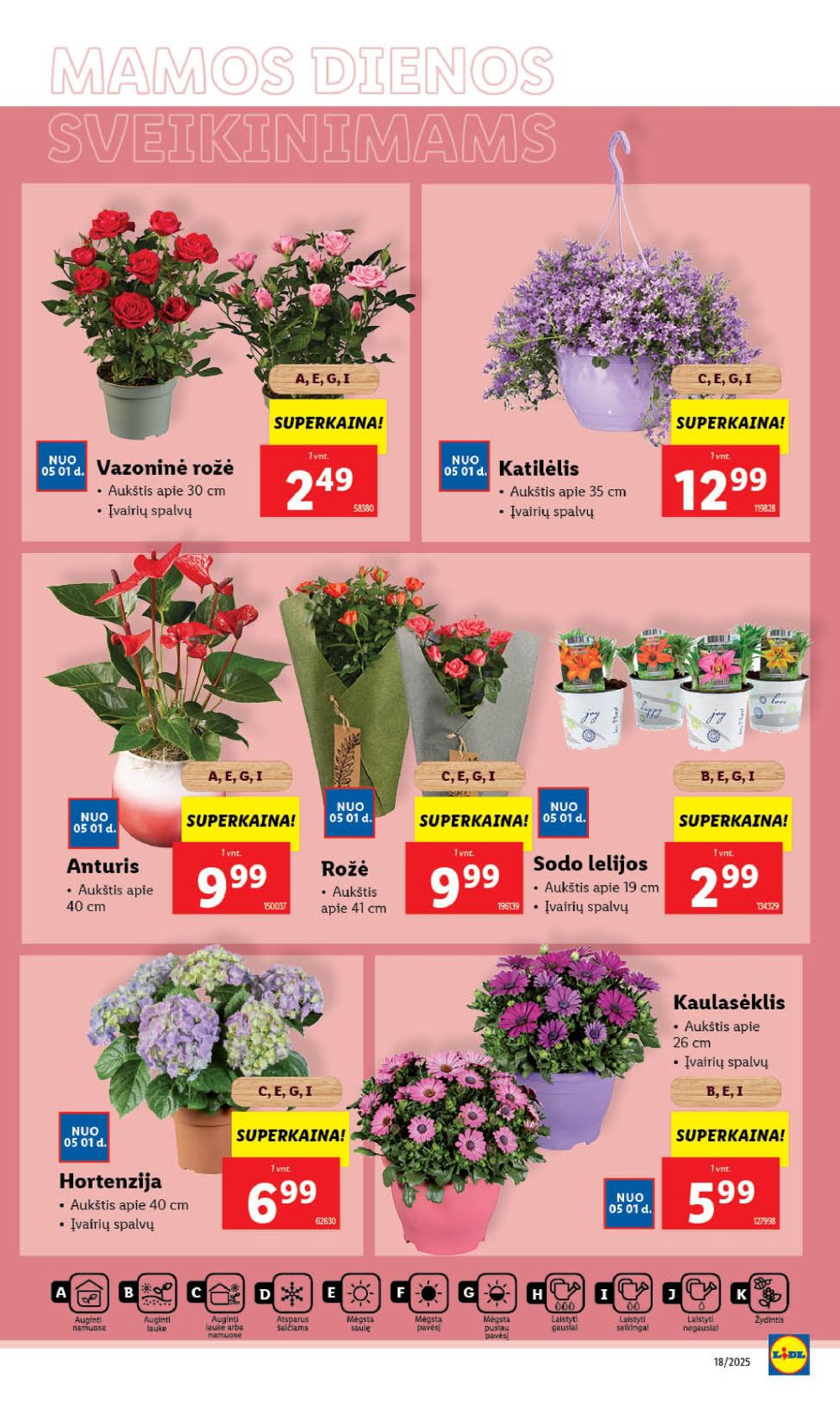 Leidinio nuotrauka