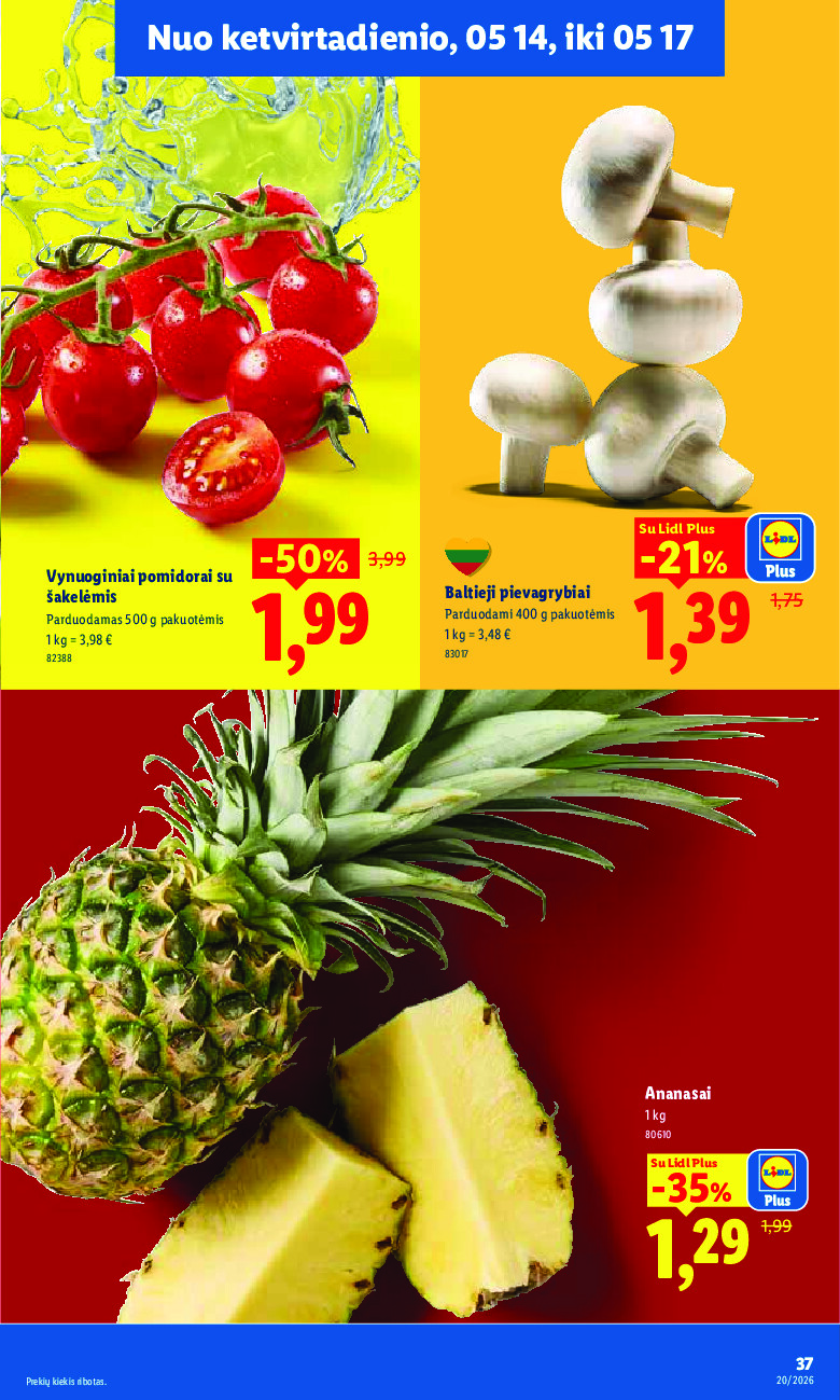Leidinio nuotrauka
