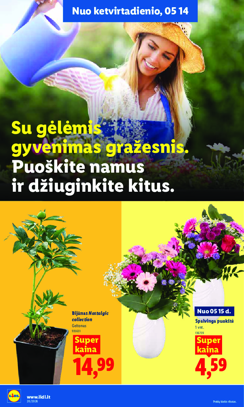 Leidinio nuotrauka