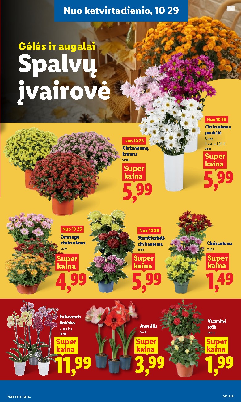 Leidinio nuotrauka