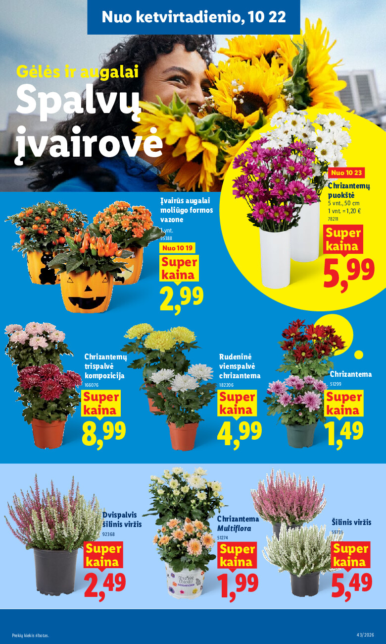 Leidinio nuotrauka